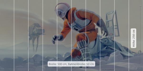 Fototapete DX10-055 - 500 x 250 cm - versandkostenfrei